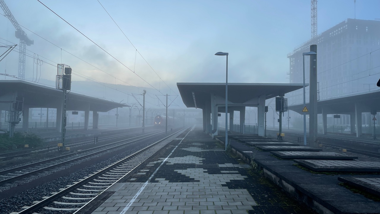 Nebel in Ladenburg